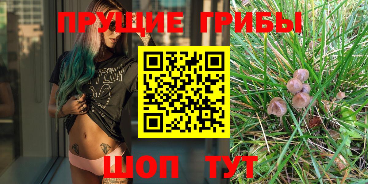 Псилоцибиновые грибы GOLDEN TEACHER Ишим